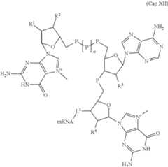 Figure US11737979-20230829-C00031