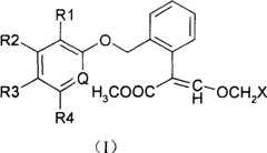 Figure A2005100602710002C1