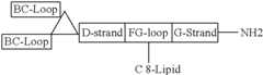 Figure US08907053-20141209-C00056