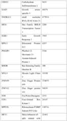 Figure imgf000010_0001