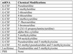 Figure imgf000511_0001