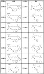 Figure imgf000013_0001