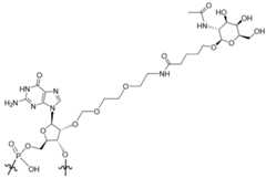 Figure imgf000061_0001