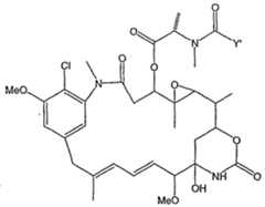Figure imgf000101_0001