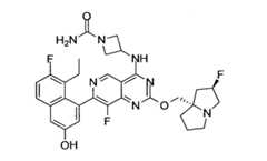 Figure imgf000488_0001