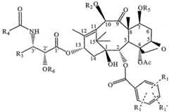 Figure imgf000081_0001