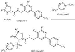 Figure imgf000005_0001