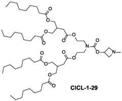 Figure imgf000041_0002