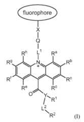 Figure imgf000009_0001