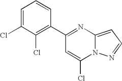 Figure US07119200-20061010-C00508