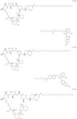 Figure US11364300-20220621-C00197