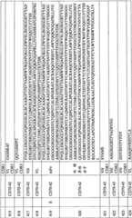 Figure BPA0000256061330001951