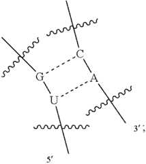 Figure US12338436-20250624-C00404