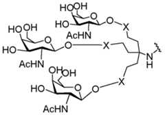 Figure imgf000169_0003
