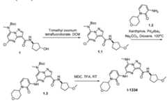 Figure imgf001601_0001