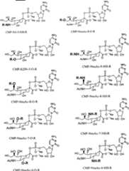 Figure A20078003455101451