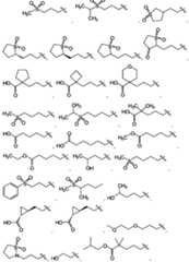 Figure imgf000018_0001