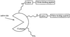 Figure imgf000080_0001