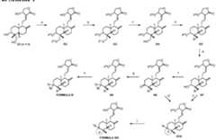 Figure imgf000029_0001