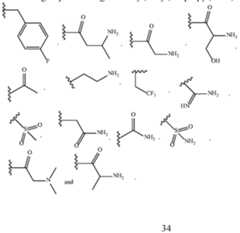 Figure imgf000035_0001