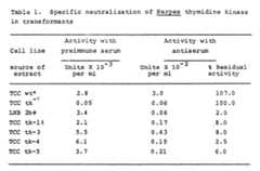 Figure imgf000071_0001