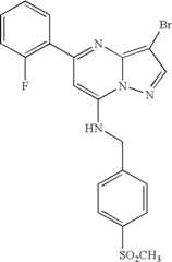 Figure US07119200-20061010-C01331