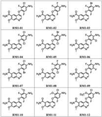 Figure BDA0003795483320000192