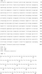 Figure IDA0003176636410000061