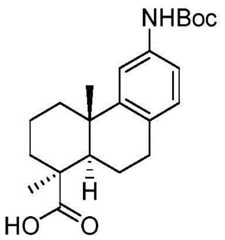 Figure BDA0002889616220002482