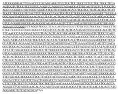 Figure imgf000078_0001