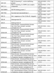 Figure imgf000413_0001