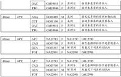 Figure GDA0003420037120000511