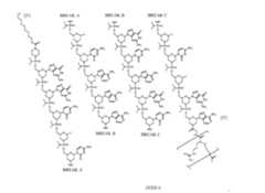 Figure imgf000116_0001