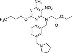 Figure BDA0000075082050001562