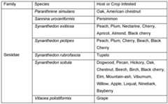 Figure imgf000032_0001