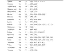 Figure imgf000026_0001