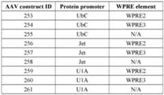 Figure imgf000256_0002