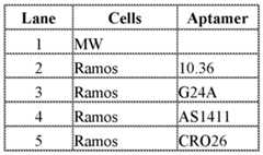 Figure imgf000315_0001