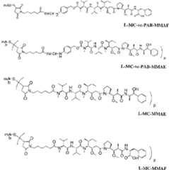 Figure imgf000026_0001