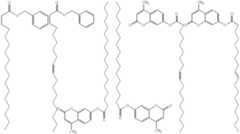 Figure US06280926-20010828-C00017