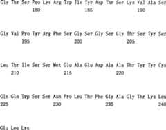 Figure C200480014513D00941