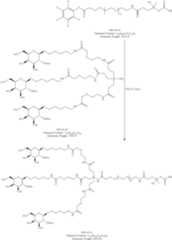 Figure US10646582-20200512-C00224