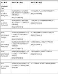 Figure BDA0004089703340001441