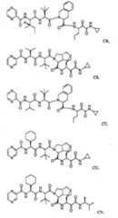 Figure FSA00000606821100201