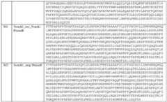 Figure imgf000107_0001