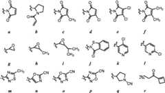 Figure BPA00001476434900412