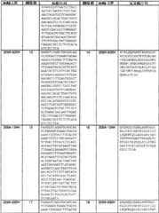 Figure BSA0000239808480000791