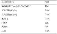 Figure BDA0001798612340000061