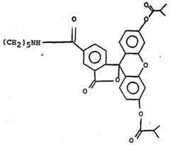 Figure imgf000018_0001