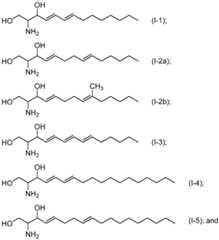 Figure imgf000075_0001